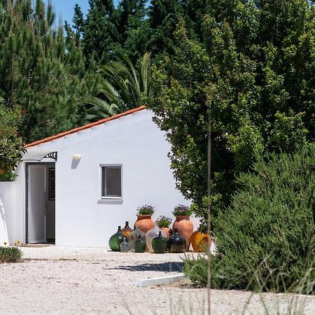 Sete Quintas Country House 살바테하 드 마구스 외부 사진