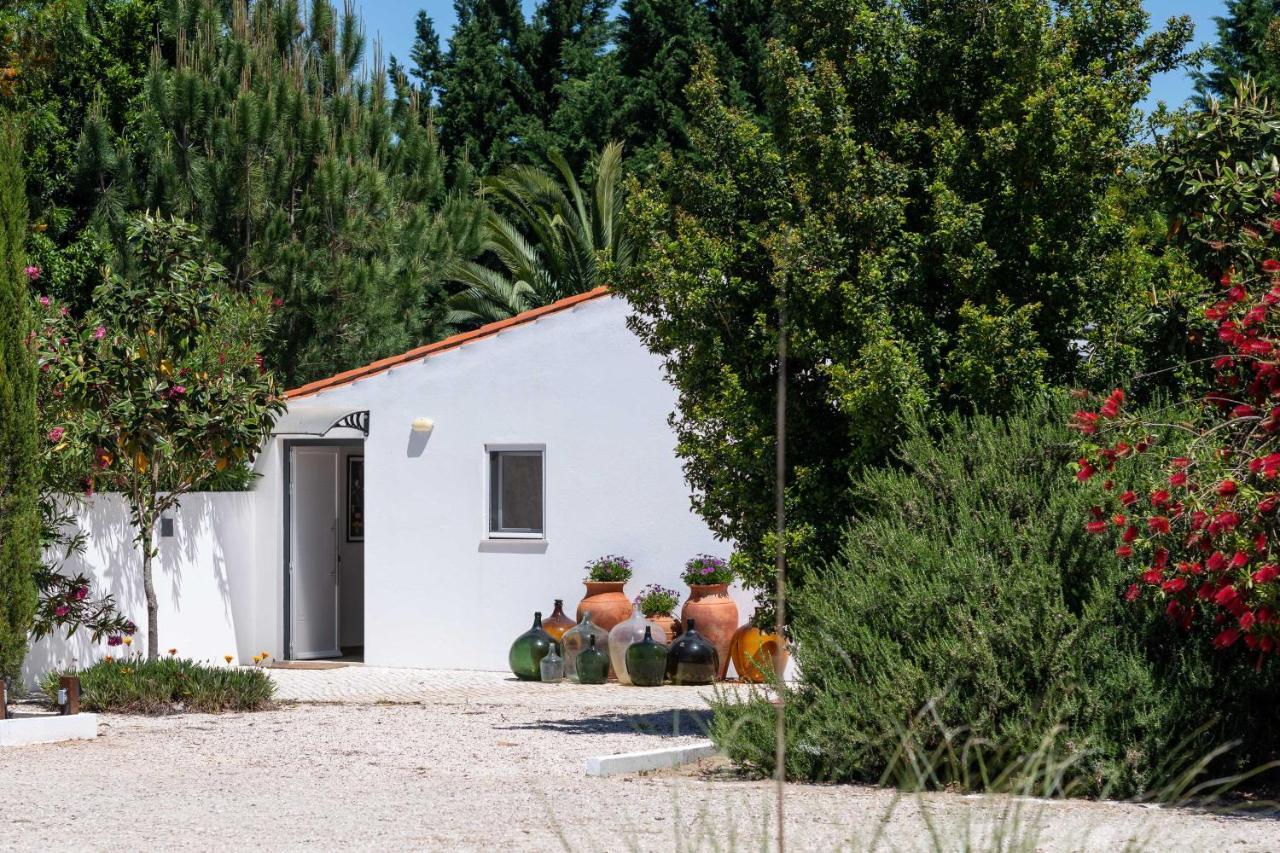 Sete Quintas Country House 살바테하 드 마구스 외부 사진